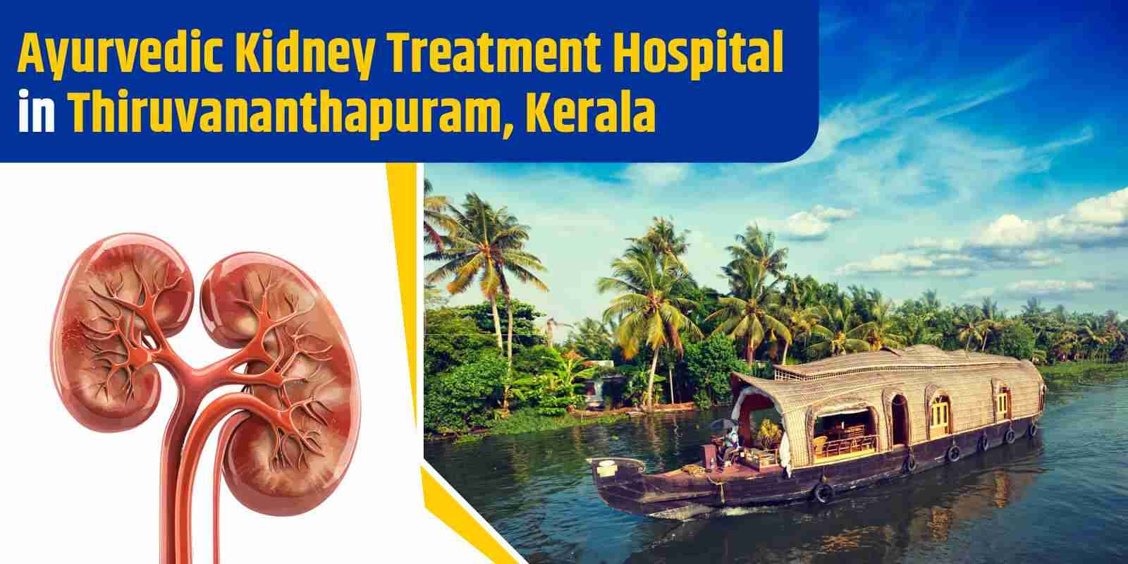 Ayurvedic Kidney Treatment Hospital in Thiruvananthapuram, Kerala